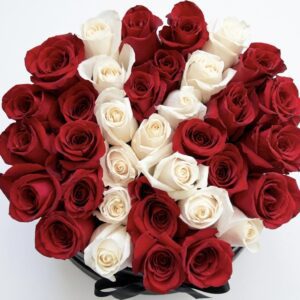 FLEUR Collection #163