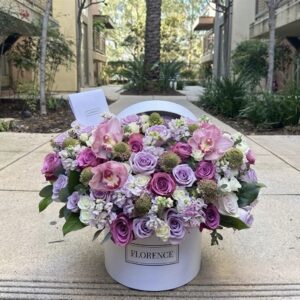 Senorita - Flowerbox