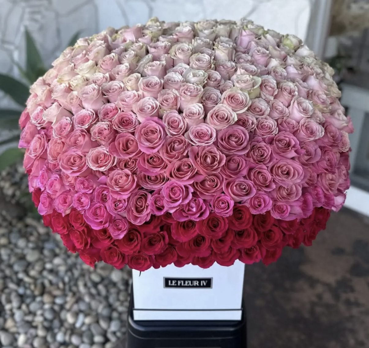 Ombre Rosélia - Flower Box