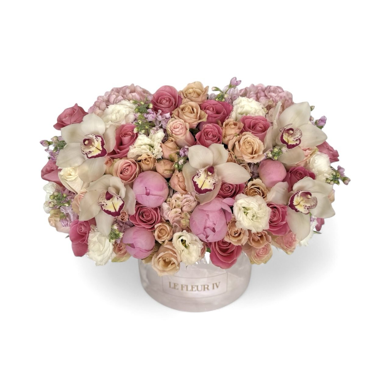 Velvet Orchids - Flower Box