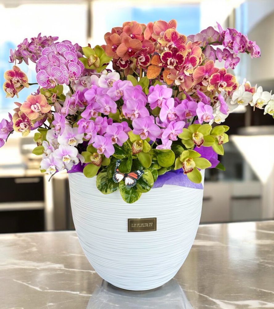 photoroom_20250922_183056